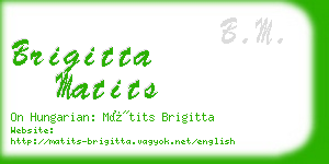 brigitta matits business card
